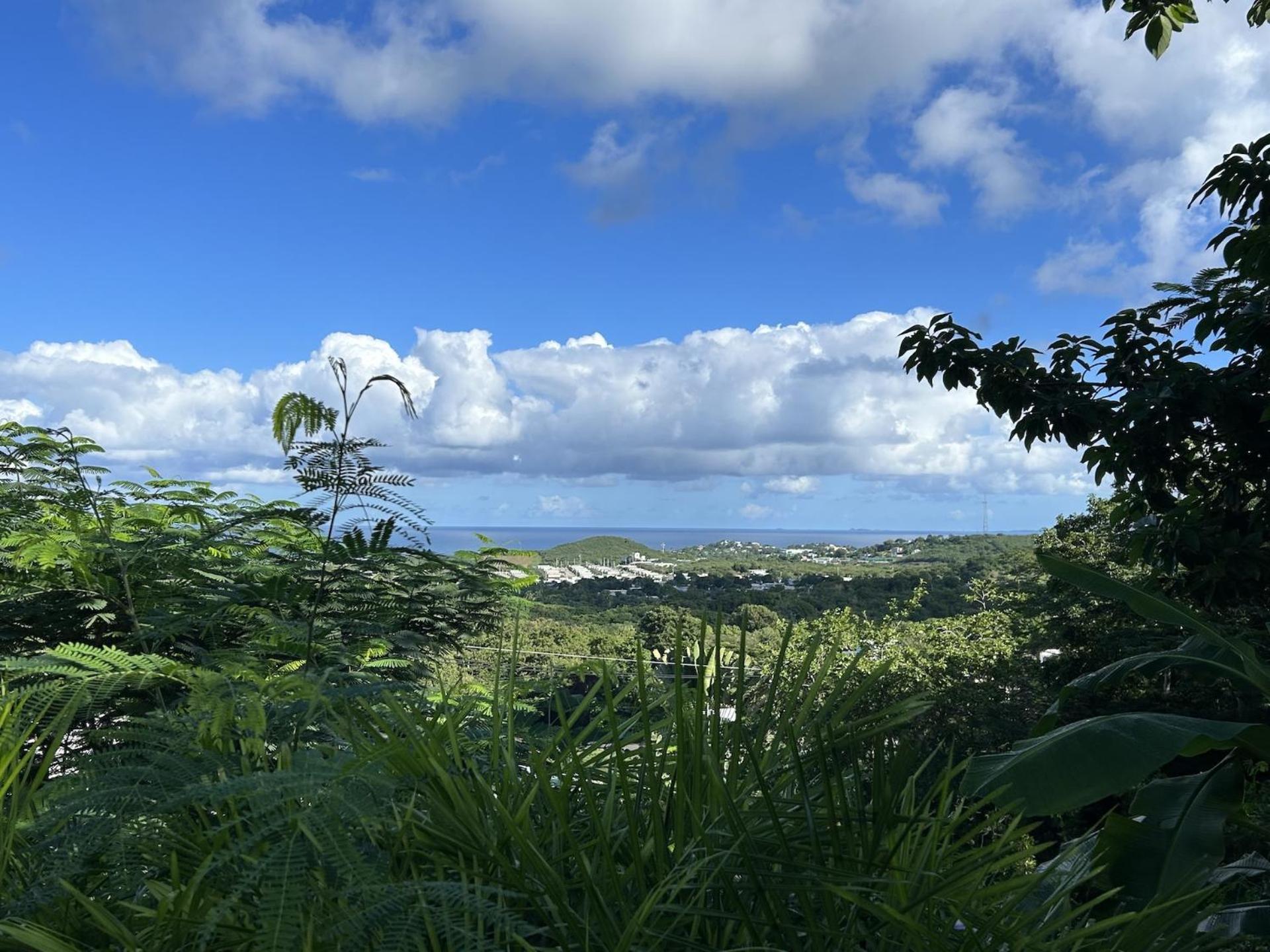 Las Terrazas Los Chivos Vieques Ngoại thất bức ảnh